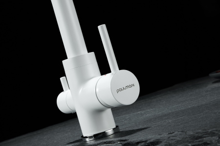 Смеситель для кухни Paulmark ESSEN Es213011-WH на мойку белый